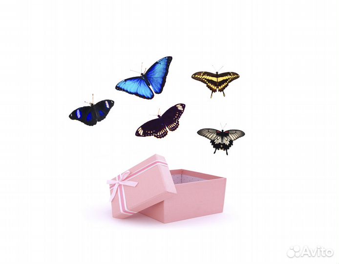 Салют из бабочек на праздники и торжества