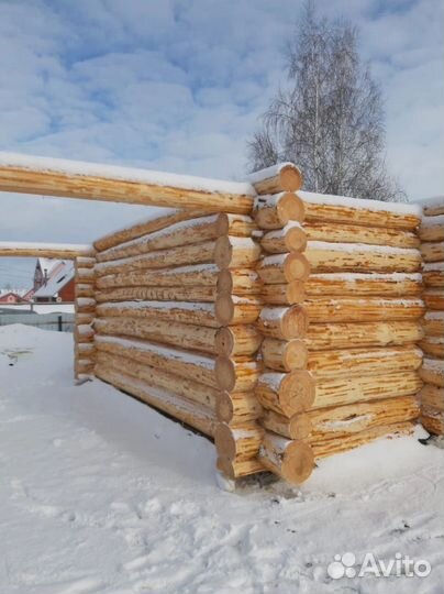 Сруб для бани 5.30х5.80