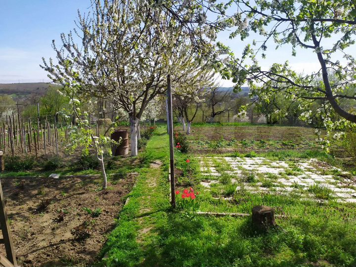 Дом 66,4 м² на участке 20 сот.