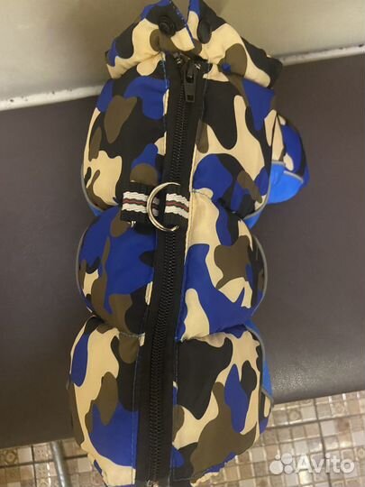 Одежда для маленьких собак