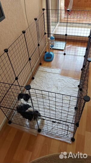 Клетка вольер для щенков