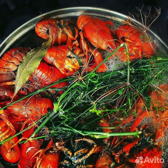 Раки от 10 кг