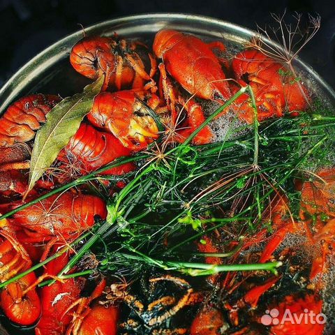 Раки от 10 кг