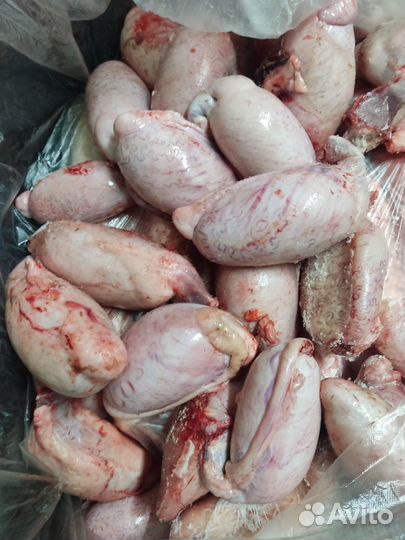 Мясо говядина для собак