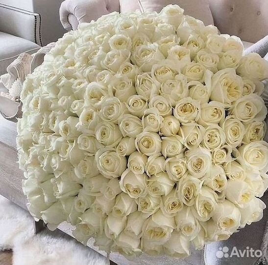 101 Роза Цветы Букеты 51 25 Роз Доставка