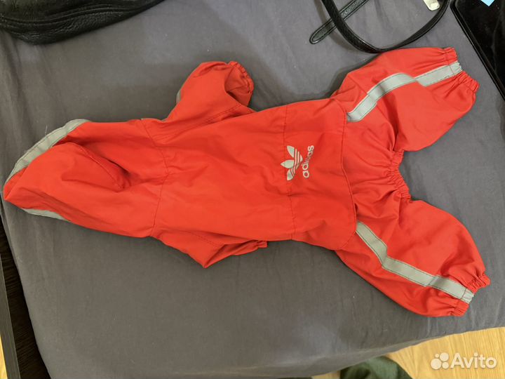 Дождевик для собаки