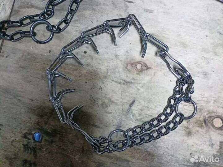 Строгий ошейник