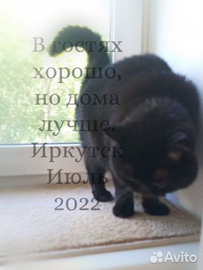 Передержка