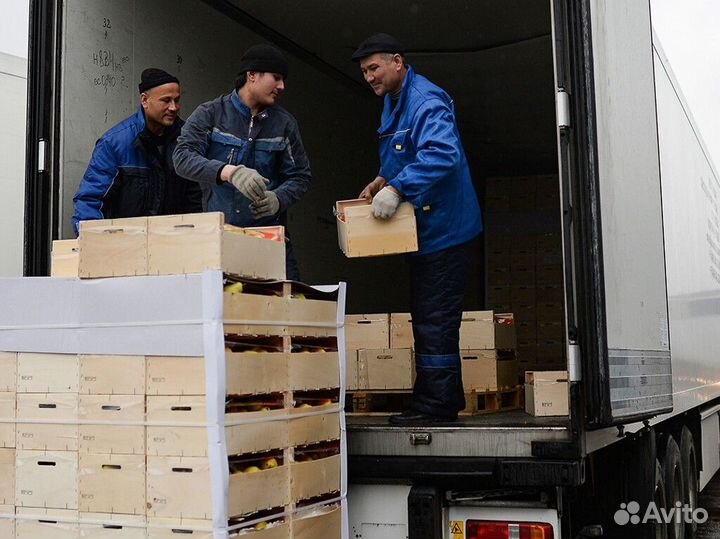 Грузчик с ежедневной оплатой