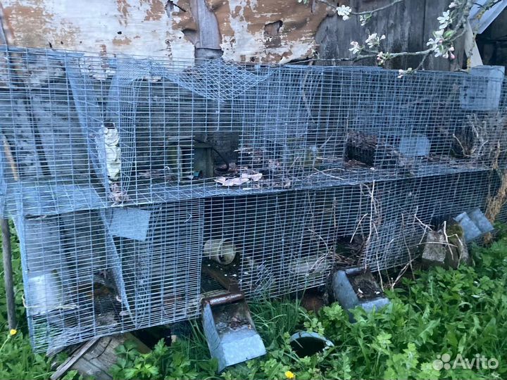 Клетки для кроликов