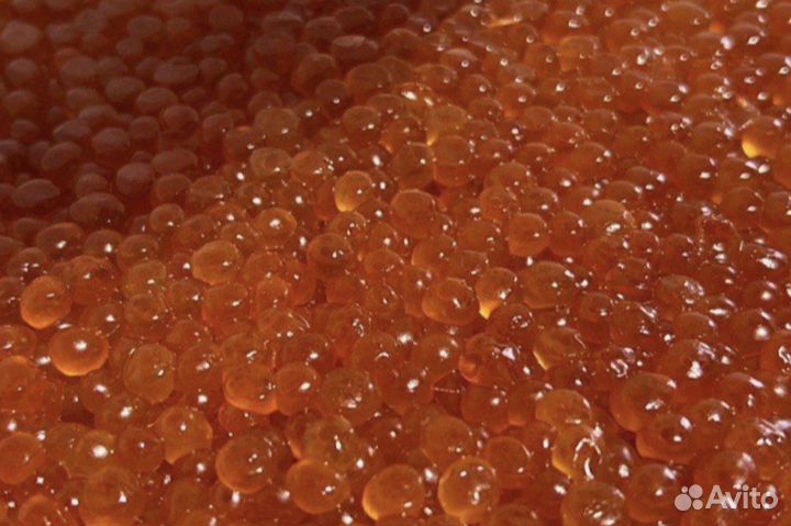 Икра красная камчатская свежая. Доставка по мск