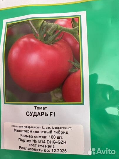 Рассада помидор