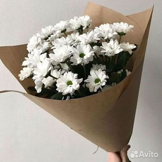 Хризантема Доставка цветов Букеты