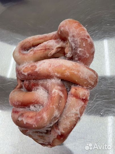 Корм для собак