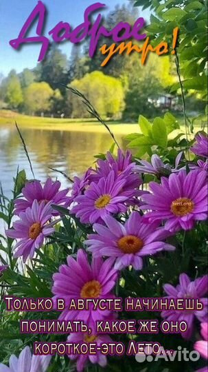 Навоз Перегной