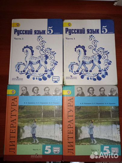 Русский язык 5 класс ладыженская