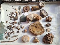 Амониты и метеориты
