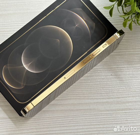 iPhone 12 Pro Max, 256 ГБ