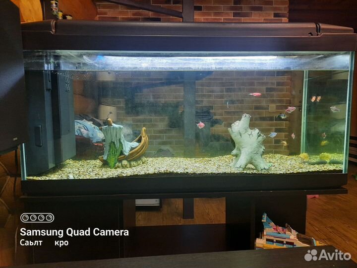 Аквариум 124 48 53(высота без крышки)