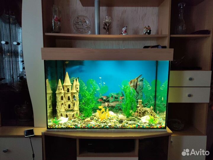 Аквариум