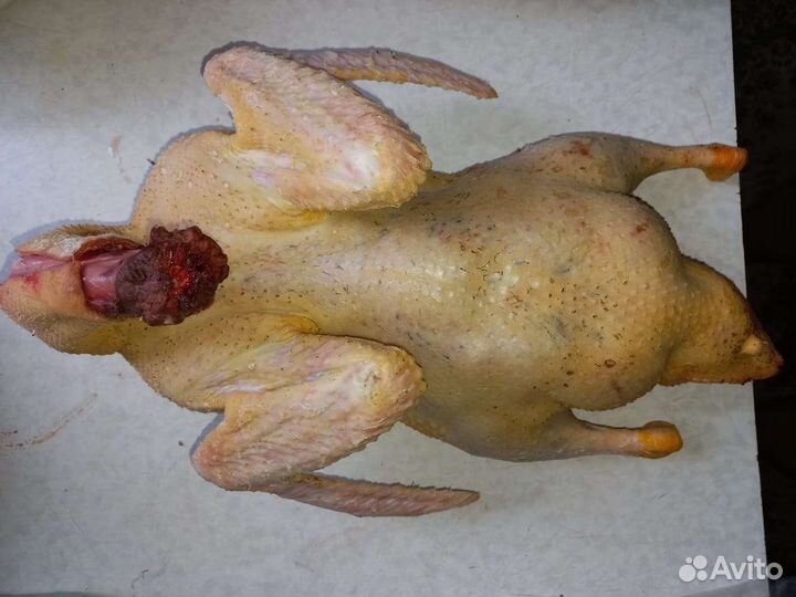 Индейка и мулларды