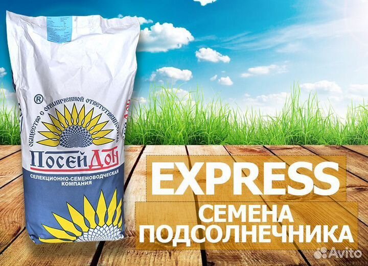 Гибрид семена подсолнечника Кайзер экс (экспресс)