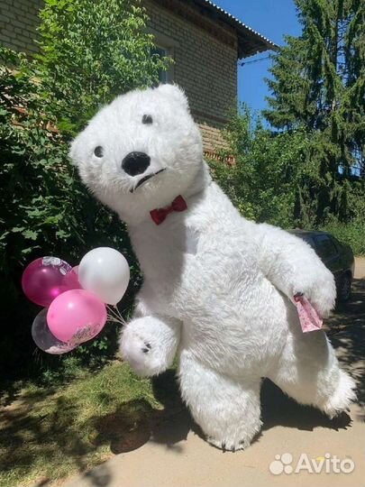 Белый мишка на праздник