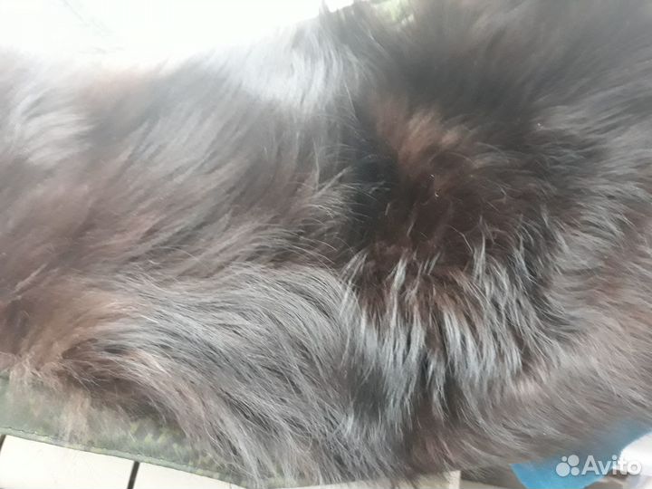 Противорадикулитный Пояс из собачьего меха