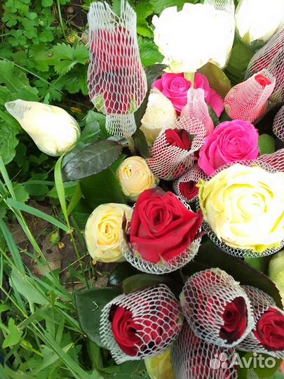 Свежие Розы срез