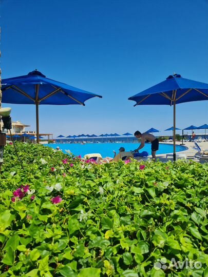 Тур в Египет/путевка из Сочи в Хургаду и Шарм-Эль