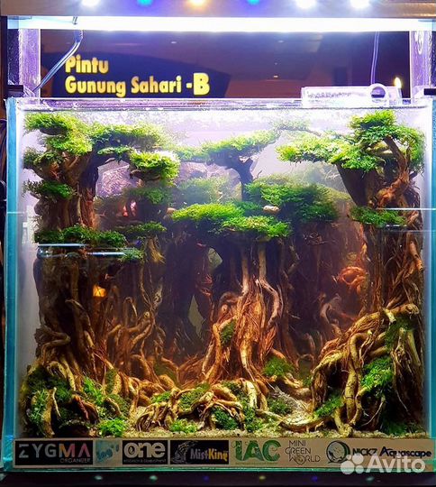 Коряги,композиции,растения