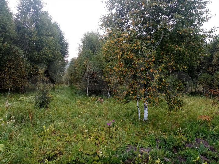 Участок 20 сот. (ИЖС)