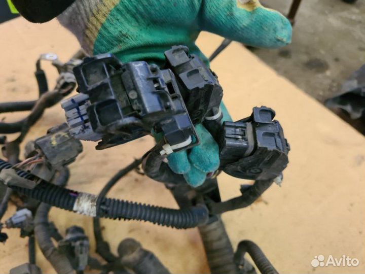 Проводка двс Nissan Murano Z51 VQ35DE 2012