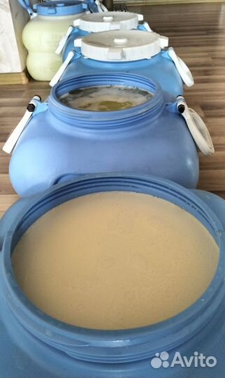 Сыворотка молочная
