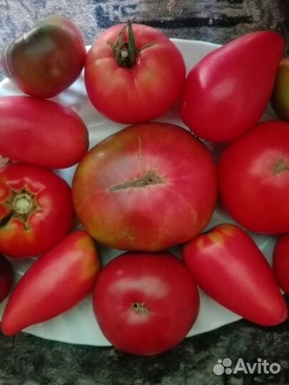 Семена томатов