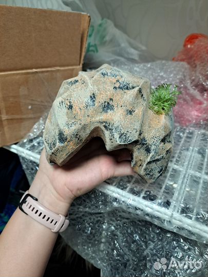 Укрытия для рептилий, декор для террариума