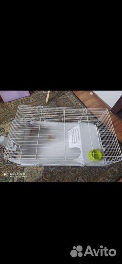 Клетка для кролика большая