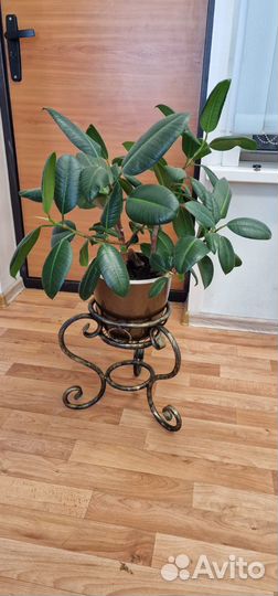 Кашпо для цветов ковка