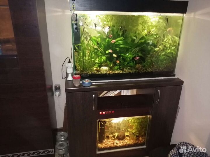Украшение для аквариума