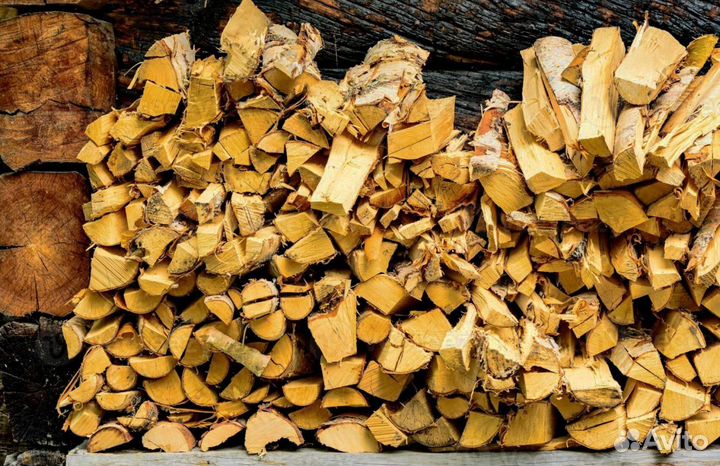 Дрова понимающих