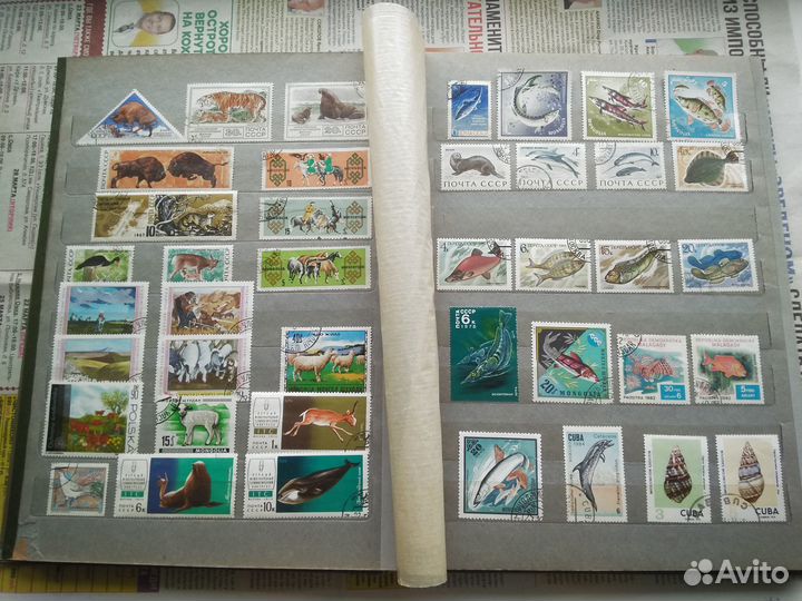 Альбом с марками 6