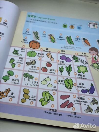 Говорящий английско-китайский учебник энциклопедия