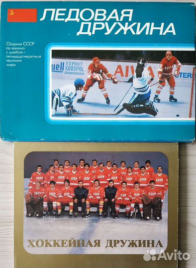 Ледовая дружина, Хоккейная дружина