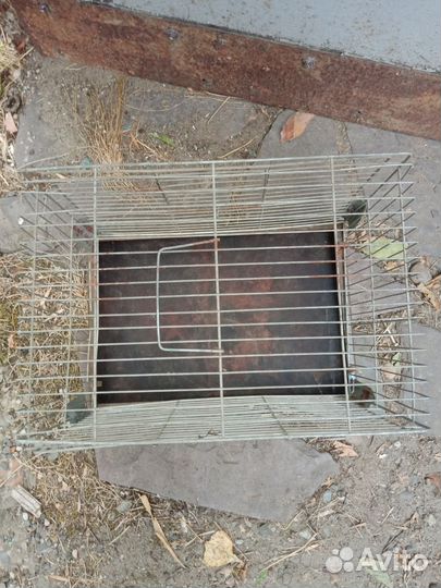 Клетка для грызунов