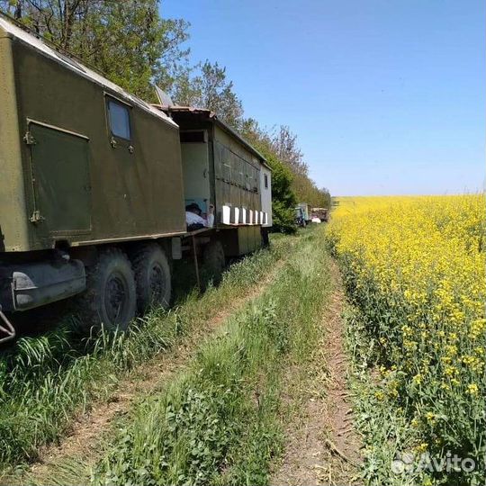 Продаю Мёд от пасечника