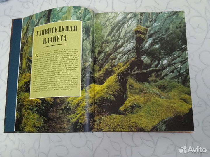 Планета чудес и сказок
