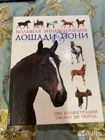 Книги про лошадей