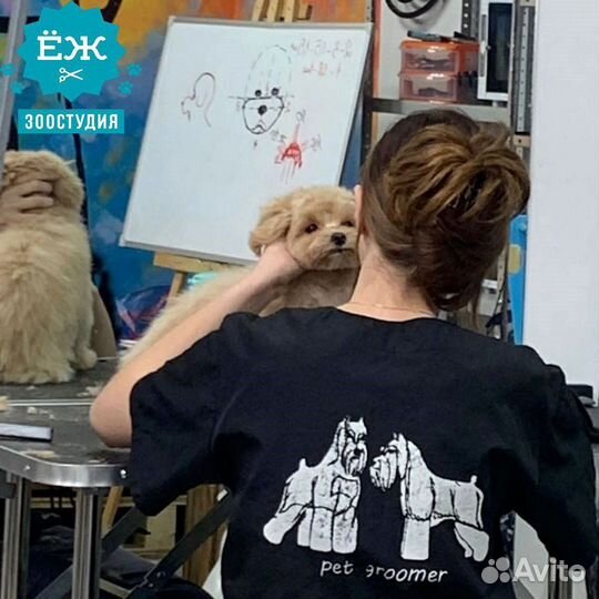Груминг обучение в Тюмени