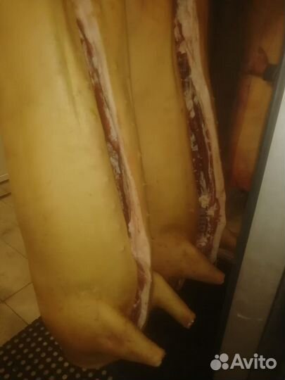 Мясо свинины охлажденное оптом