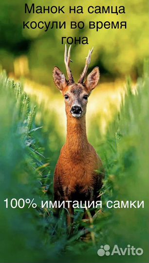 Манок на косулю